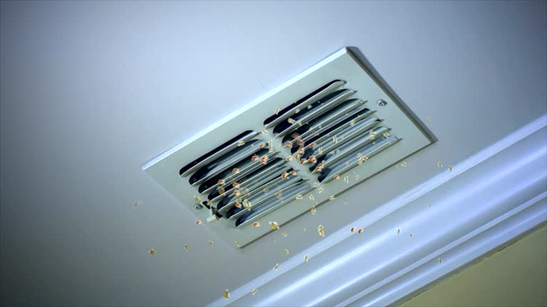 Best Air Vent Cleaning Services  in Ashtabula, OH