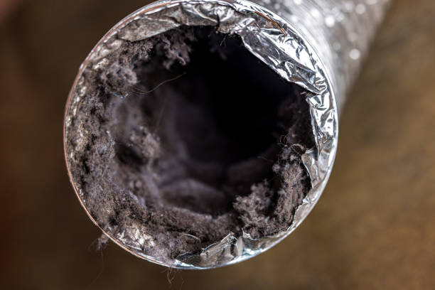 Best Dryer Vent Cleaning Services  in Ashtabula, OH