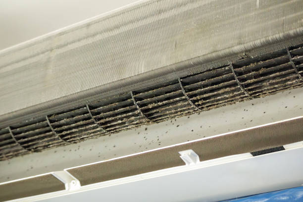 Best Air Duct Cleaning Company Near Me  in Ashtabula, OH